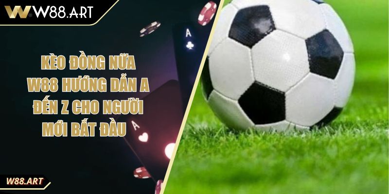 Kèo Đồng Nữa W88 Hướng Dẫn A Đến Z Cho Người Mới Bắt Đầu 2 Kèo Đồng Nữa W88 Hướng Dẫn A Đến Z Cho Người Mới Bắt Đầu