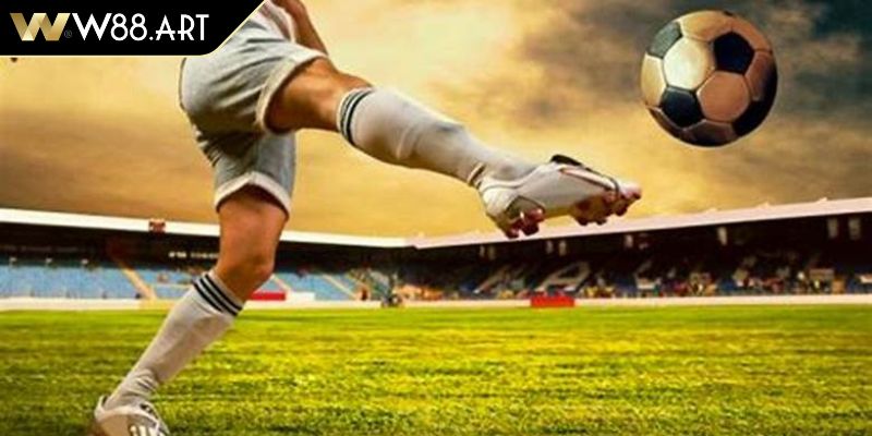 Hỗ trợ ngôn ngữ tiện lợi 